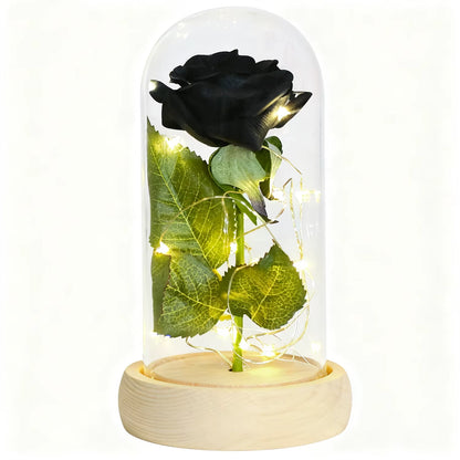 Gifts for Women Beauty and the Beast Preserved Roses in Glass Galaxy Rose LED Light Artificial Flower Birthday Gift for Girls